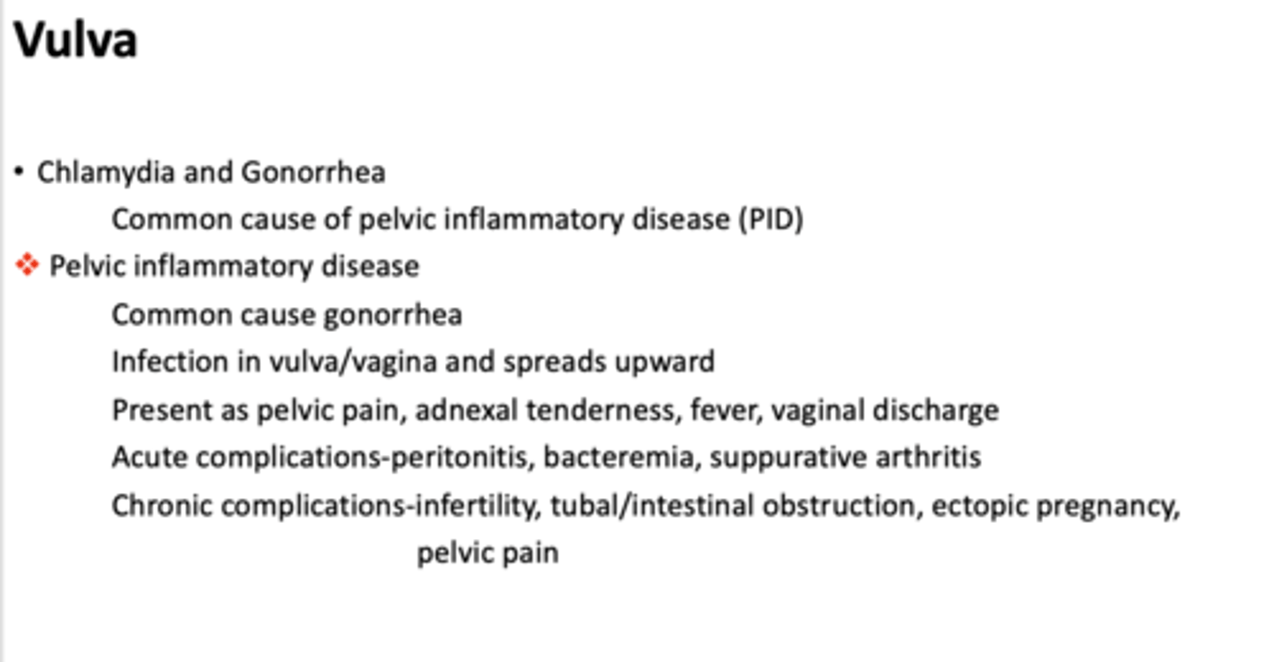 <p>gonorrhea</p>