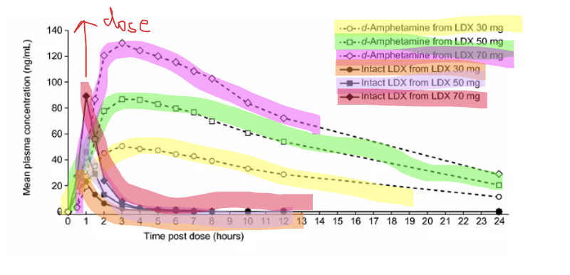 <p>Typically only extended release has a prolonged effect but Lisdexamfetamine is the only exception</p><p></p><p>But this may be due to slow onset of the drug rather than extended half life</p><p></p>