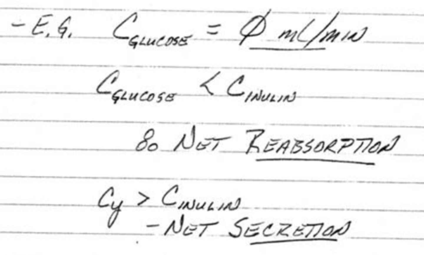 <p>reabsorbed, secreted</p>