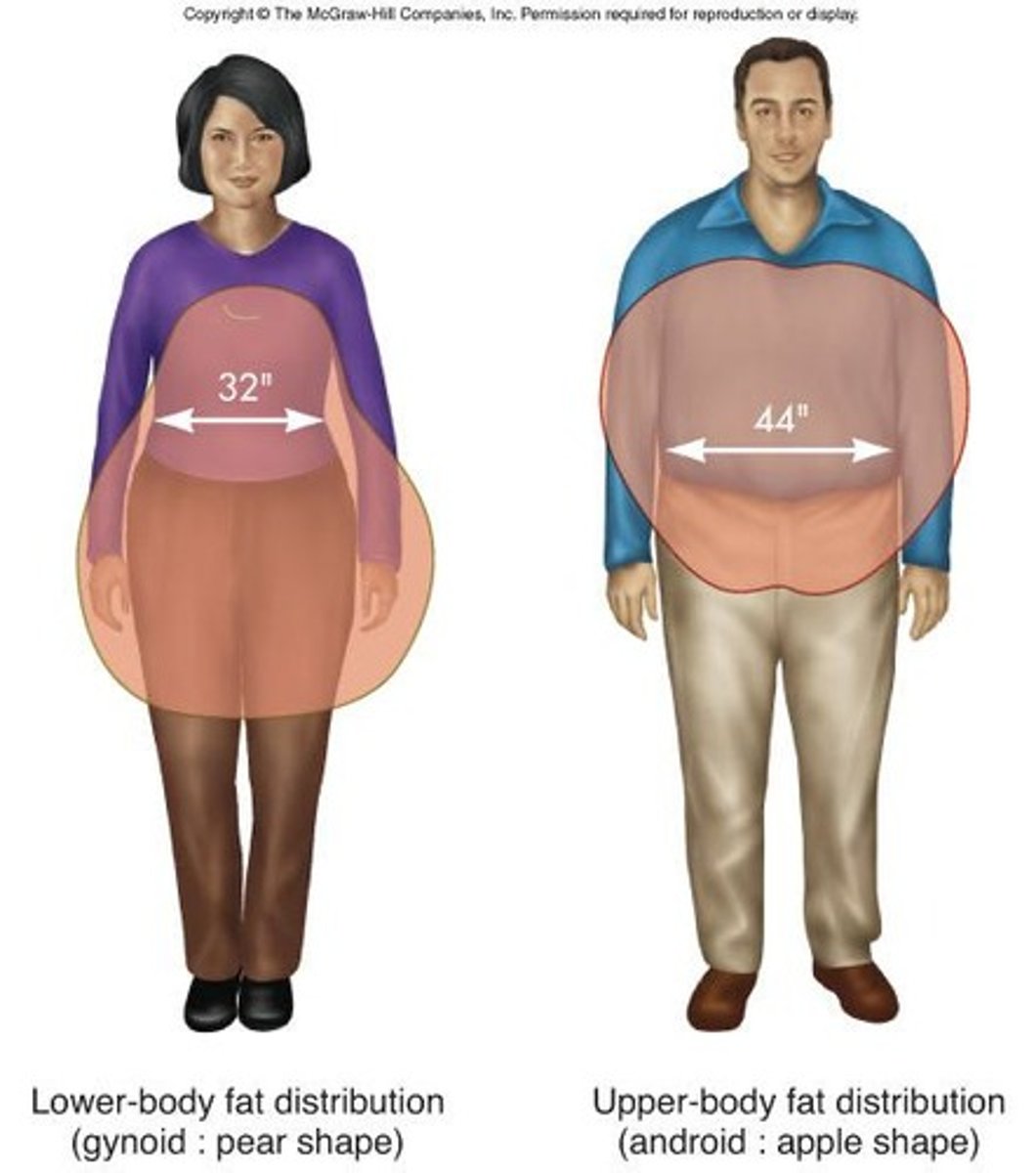 <p>Measure of fat distribution; men &gt; 0.90.</p>