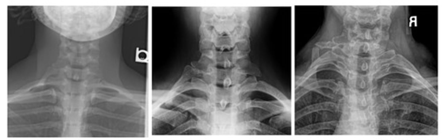 <p>What are we looking at here?</p>