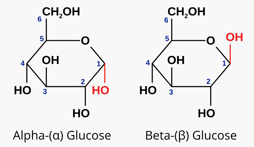 <p>Relative to the CH2-OH group, α: the C1 -OH group is OPPOSITE SIDE β: the C1 -OH group is SAME SIDE</p>
