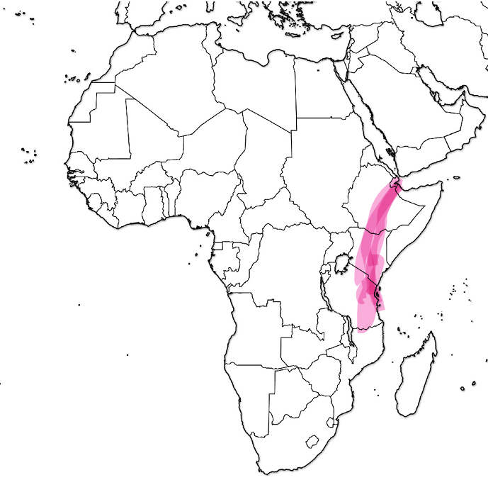 <p>What region is this?</p>