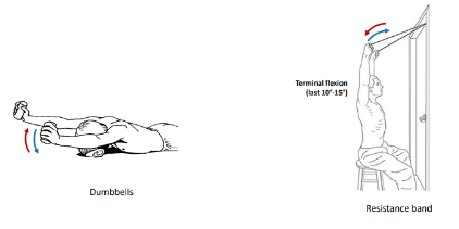 <p>These additional isotonic exercises are called what?</p>