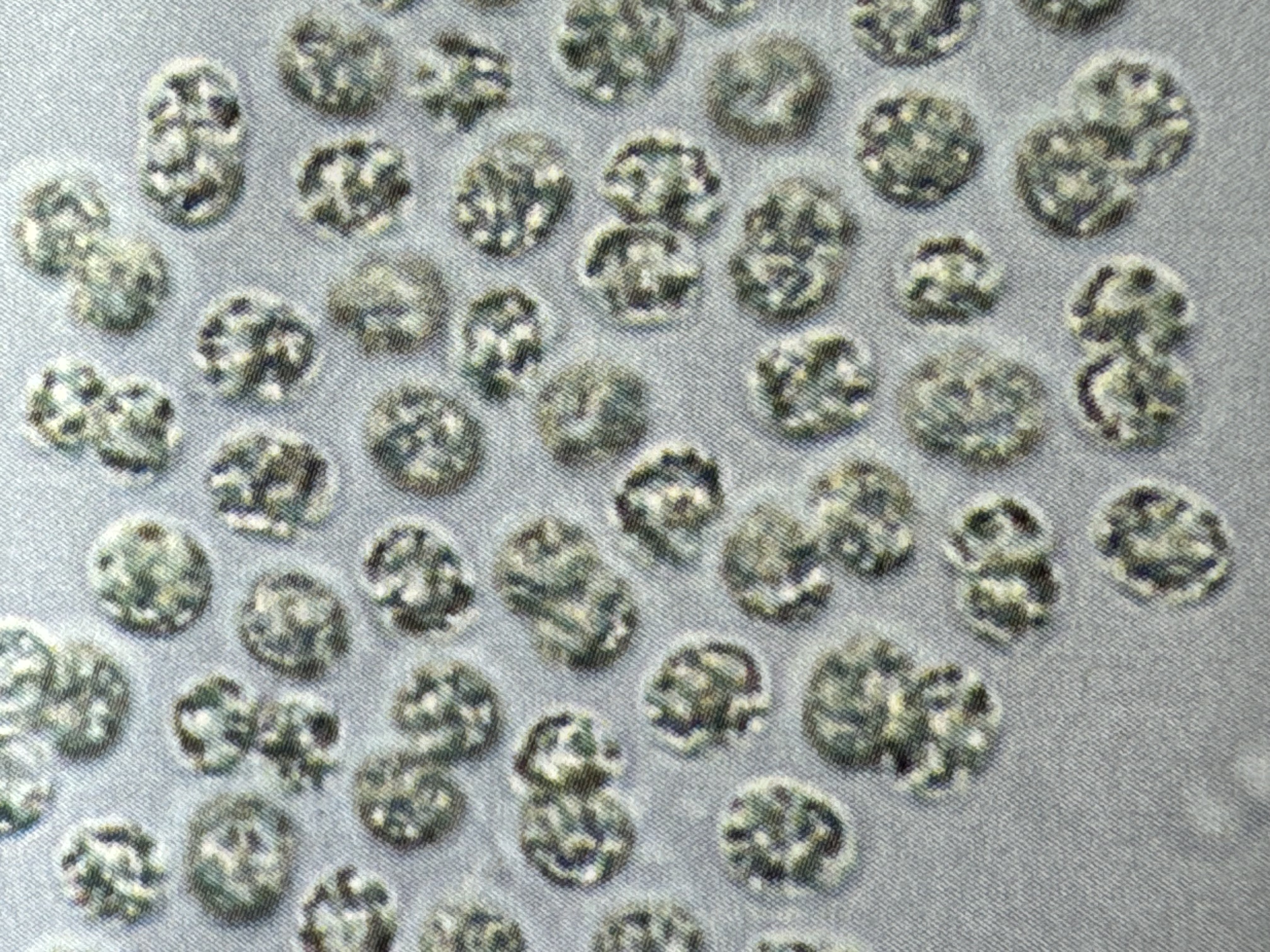 knowt flashcard image