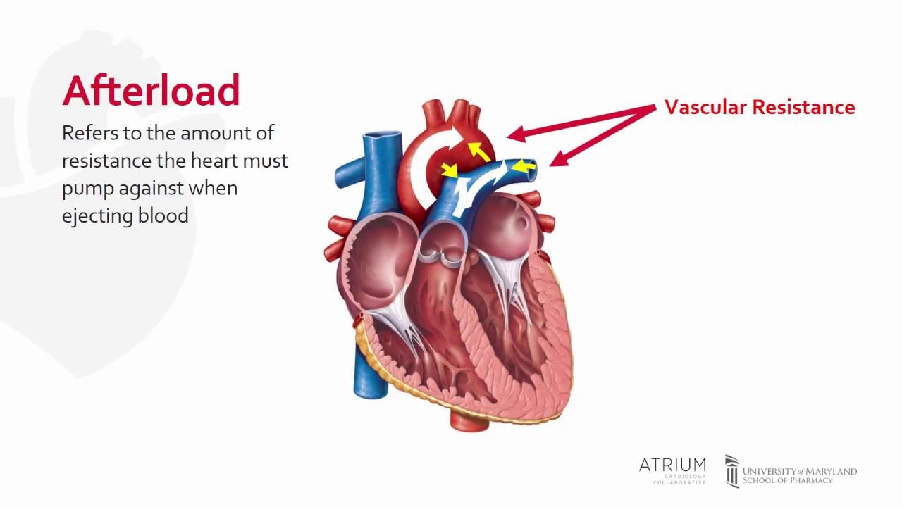 <p>The resistance the ventricle must overcome to eject blood (arterial pressure).</p>