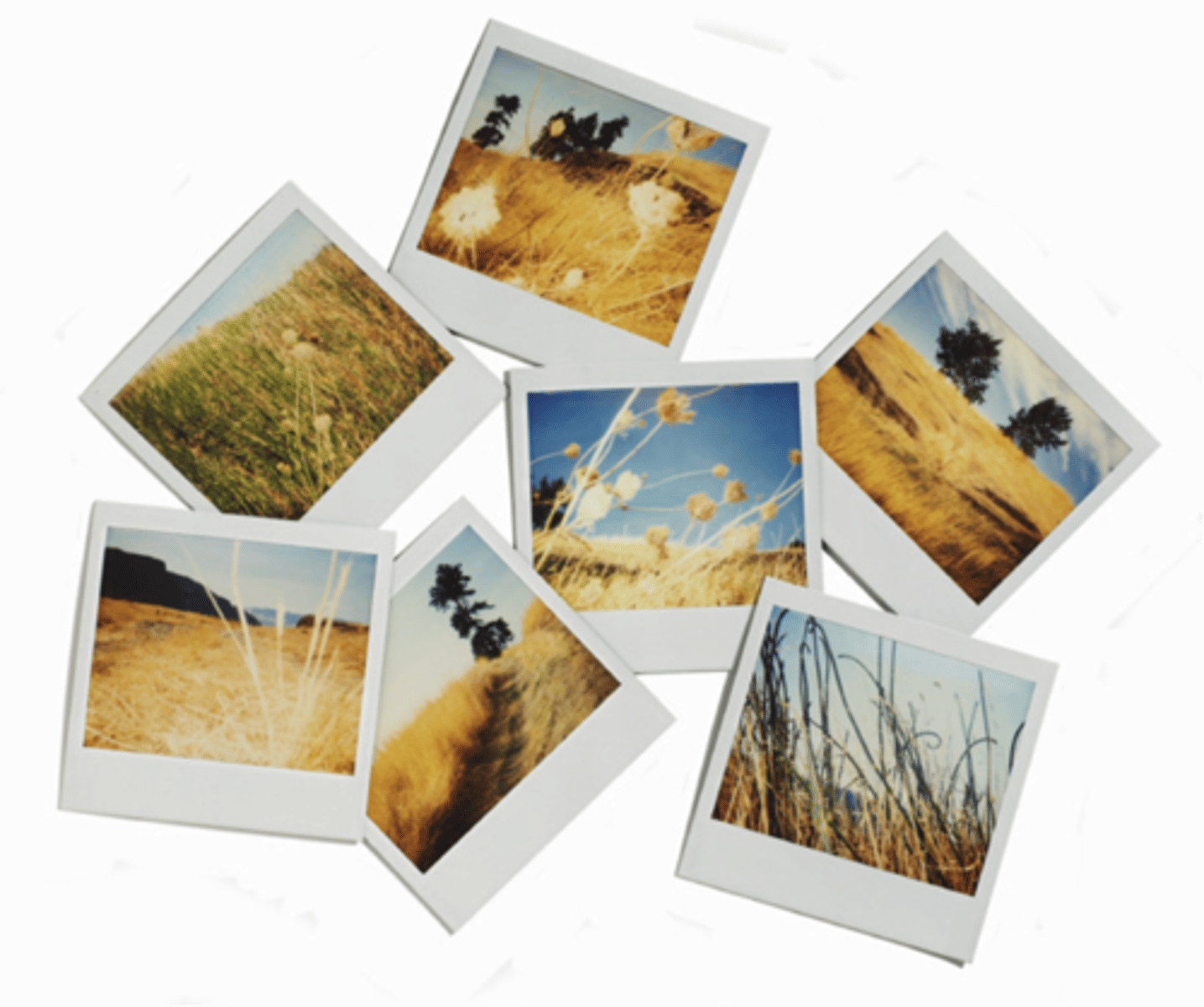 <p>photo, picture</p>