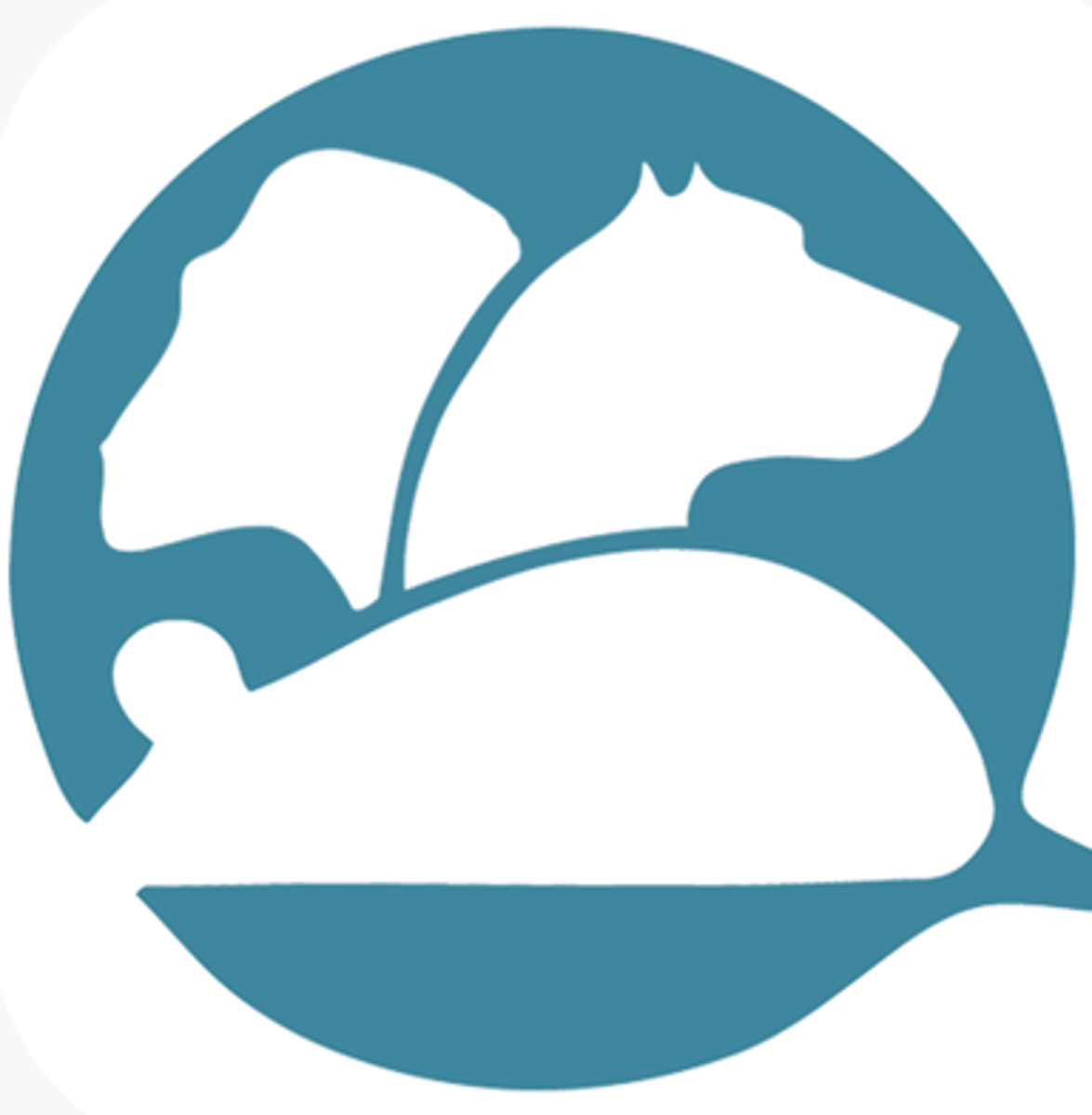 <p>advances the humane care and responsible use of laboratory animals through certification of veterinary specialists, professional development, education and research</p>