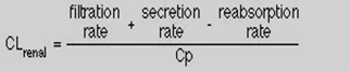 <p>rate of excretion/plasma conc</p>