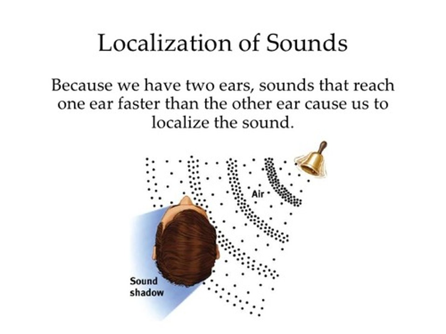<p>Process by which you determine the location of a sound - influenced by the timing at which sounds hit each of your two ears</p>