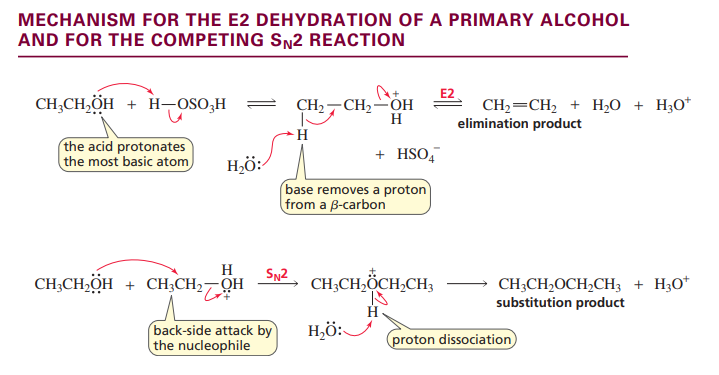<p>primary</p>