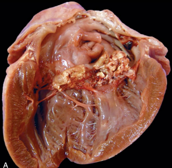 <p>What is this showing?</p>