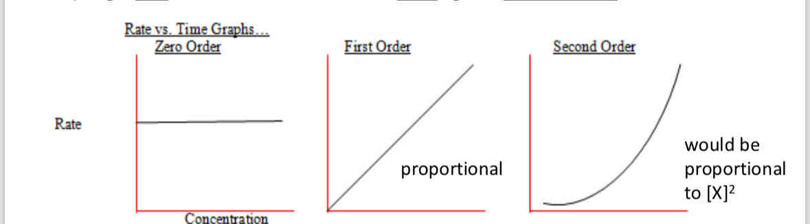 <ul><li><p>zero - straight horizontal line (y is constant)</p></li><li><p>First order - x=y</p></li><li><p>Second - upwards curve y=x²</p></li></ul>