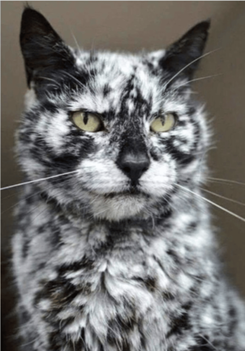 <p>what is this called?</p>