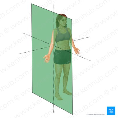 <p>-unequal left/right division</p>