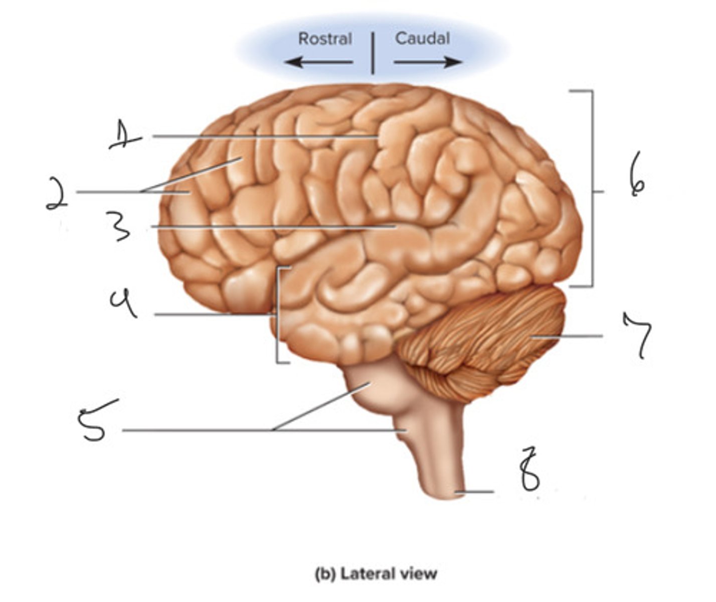 <p>What is number 6</p>