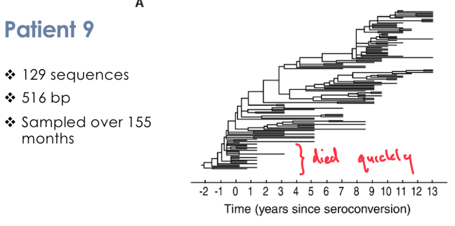 <p><span>If the viruses are changing then if we sample a patient successively then we should see different viral sequences appearing. (which was observed)</span></p>