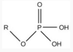 <ul><li><p>acidic; releases H+ and is charged</p></li></ul><p>req.</p><ul><li><p>has a P</p></li></ul><p>note</p><ul><li><p>H may be missing (released) so OH → O-</p></li></ul>