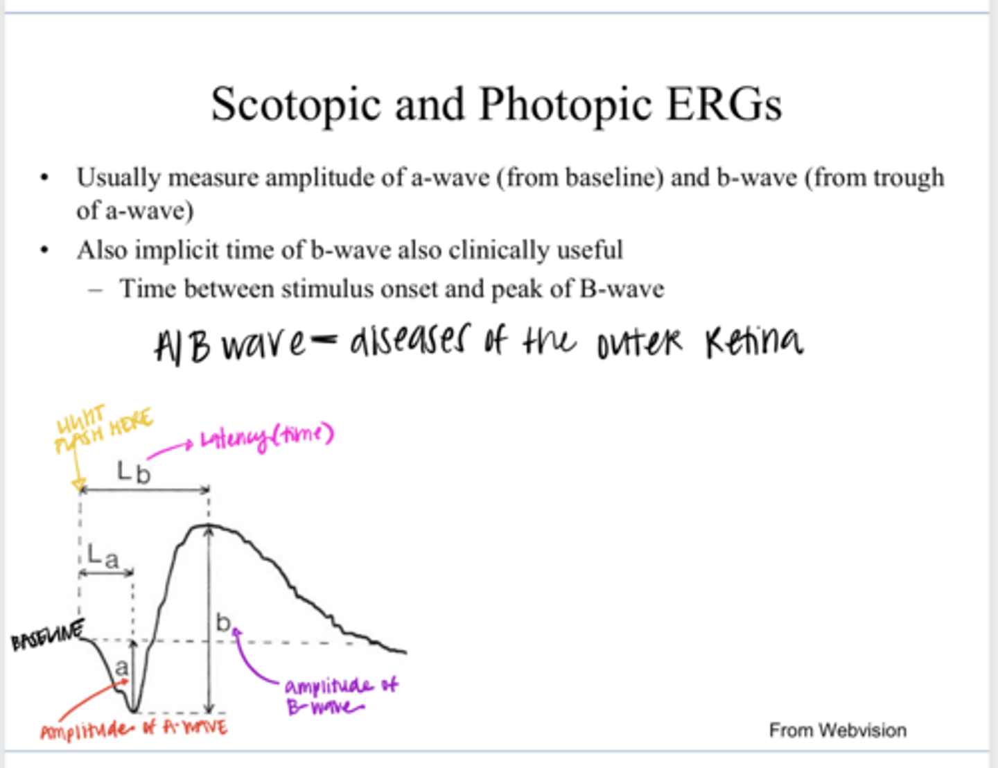 <p>How to measure amplitude of the b-wave of a ERG?</p>