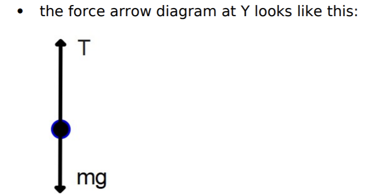 <ul><li><p>The resultant force = centripetal force = mv²/l</p></li><li><p>at Y, the resultant centripetal force must be upwards (towards the centre of the circle).</p></li><li><p>The force arrow diagram: (T<sub>upwards </sub>&gt; W<sub>downwards</sub>)</p></li><li><p>Taking upwards forces as positive: mv²/l = T - mg (answer C)</p></li></ul><p></p>