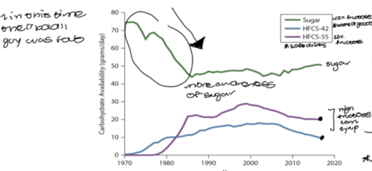 <p>dietary sources:</p><p>-fruits</p><p>-sweeteners (sucrose 50%, honey 40% , HFCS, added sugars)</p><p>**issue is with sweeteners- easy to overdo consumption</p><p>-fructose is 10-15% of caloric intake</p><p>-linked to some disease states due to metabolic shifts that occur</p>