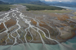 <p>occur where streams enter a standing body of water -- the ocean, usually. If the ocean processes move the sediment as fast as it arrives then no delta will form.</p>