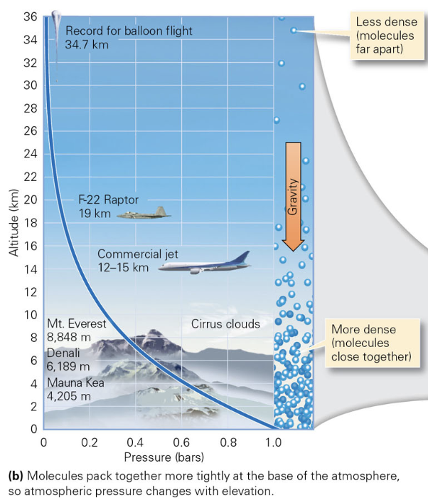 <p>true. Look at the image and see the x-axis shows that pressure is more the less attitude</p>