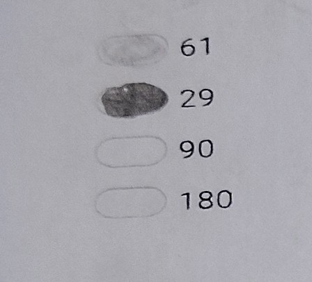 <p>29</p>