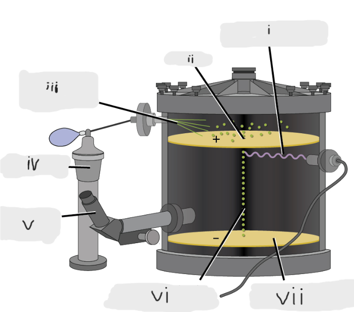 <p>(vii)</p>