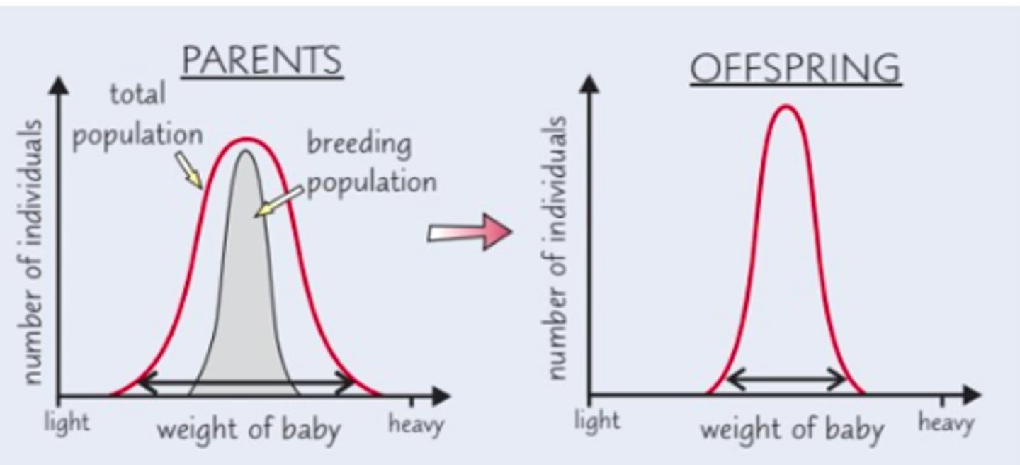 <p>Birth weight; babies that weigh around 3kg are more likely to survive than those at lower or higher weights.</p>