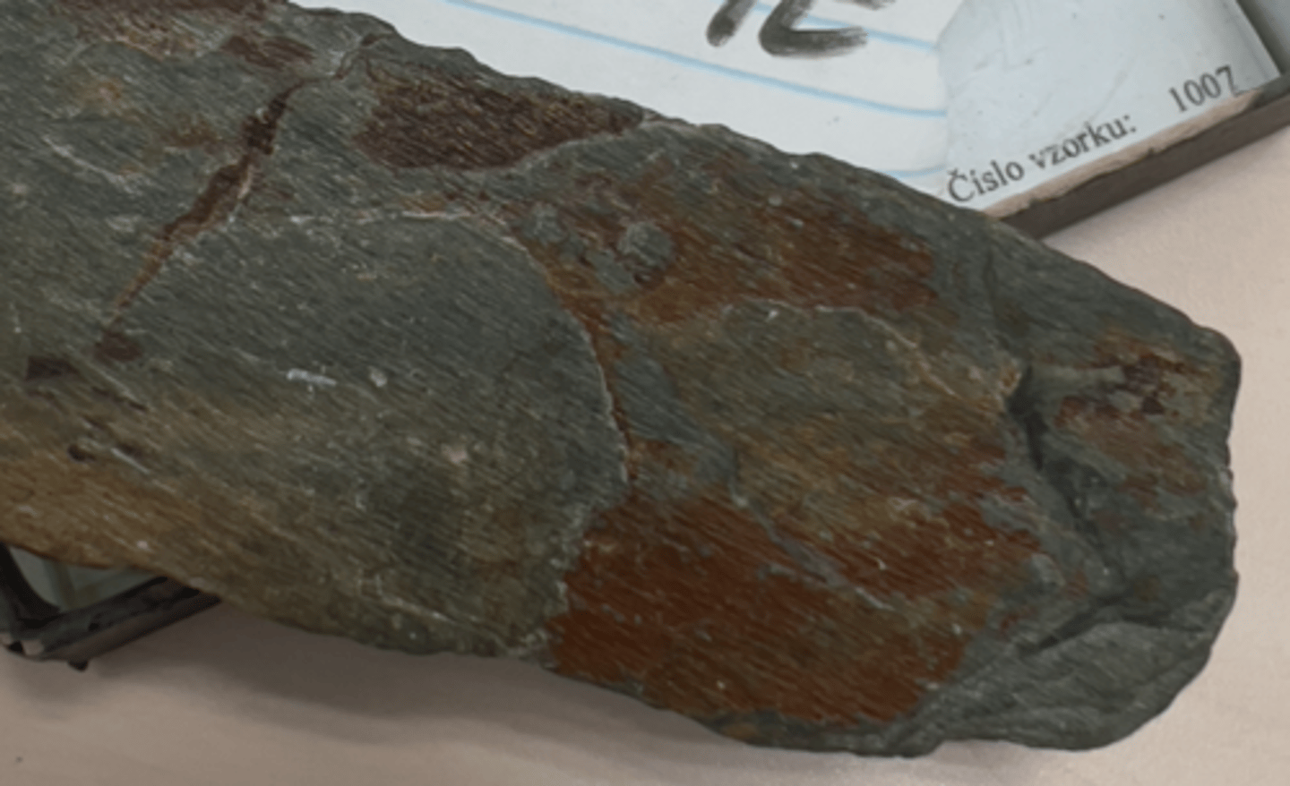 <p>Foliated metamorphic rock<br>fine grained, lustrous sheen (micas) <br>parent rock: shale, mudstone, slate</p>