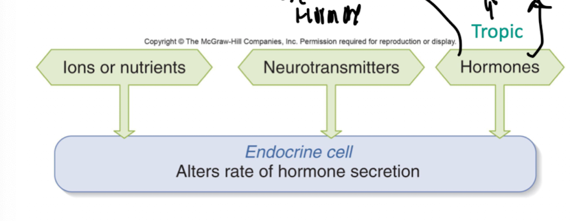 <p>(Ions/nutrients, neurotransmitter, hormones (tropic)</p><p></p>