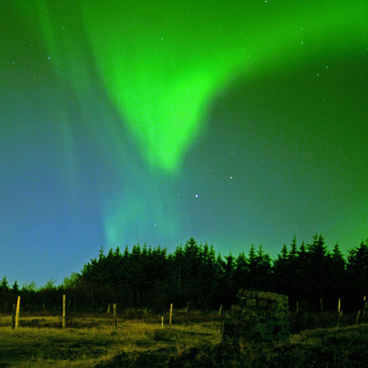 <p>Tuyệt đẹp, kinh ngạc</p>