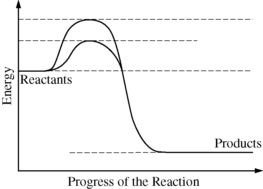 <p>The diagram below shows energy changes in a specific chemical reaction with and without the addition of an enzyme to the reaction.</p><p>Which of the following questions can best be answered by the diagram?</p>