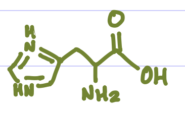 <p>Is this Amino Acid Polar or Non-polar?</p>