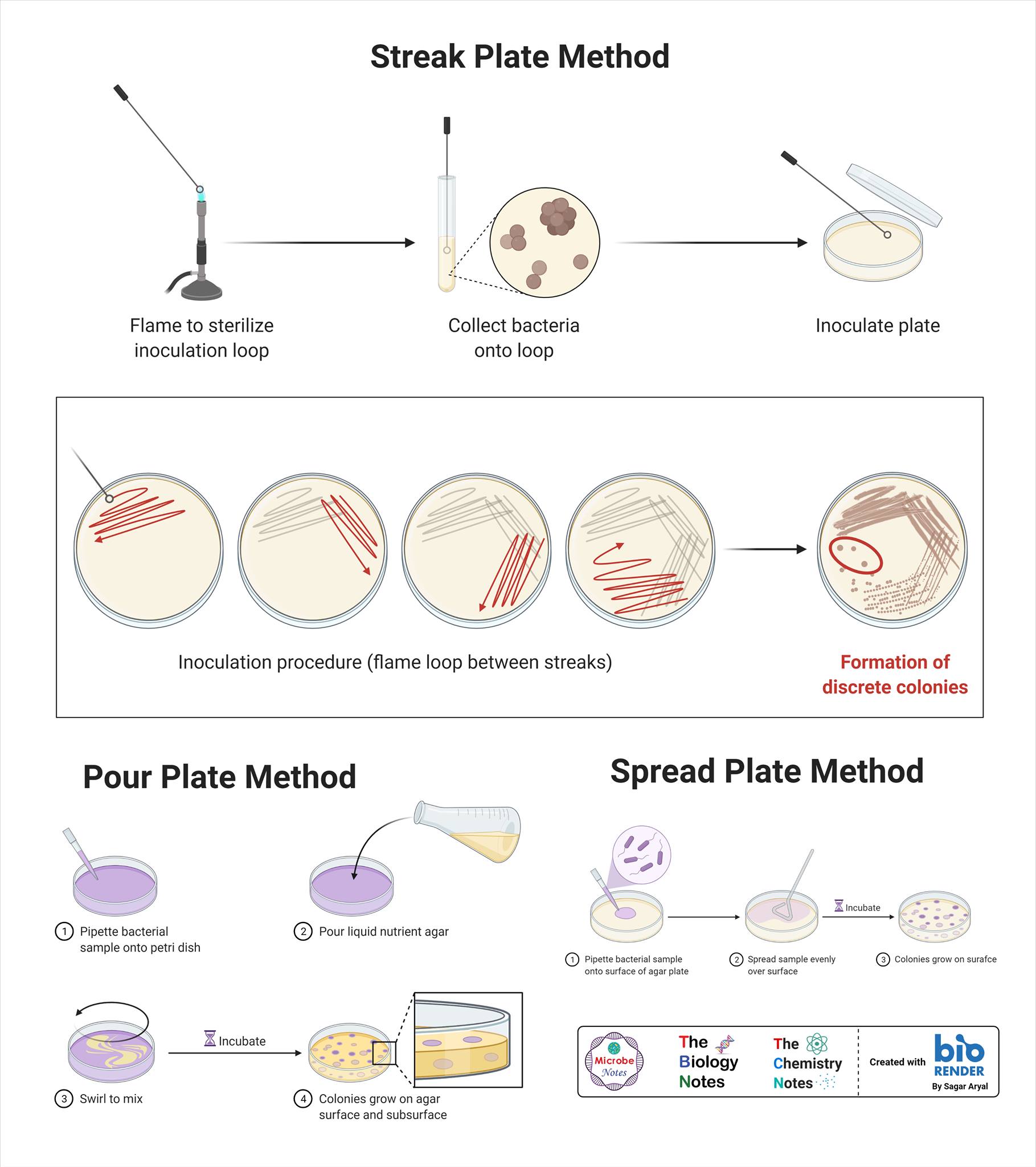 
1. **pour plate:** a known volume of the sample is mixed with agar and then poured into a plate
2. **streak plate:** a technique used to have pure colonies
3. **spread plate:** a known volume of the sample is spread on the surface of the agar medium