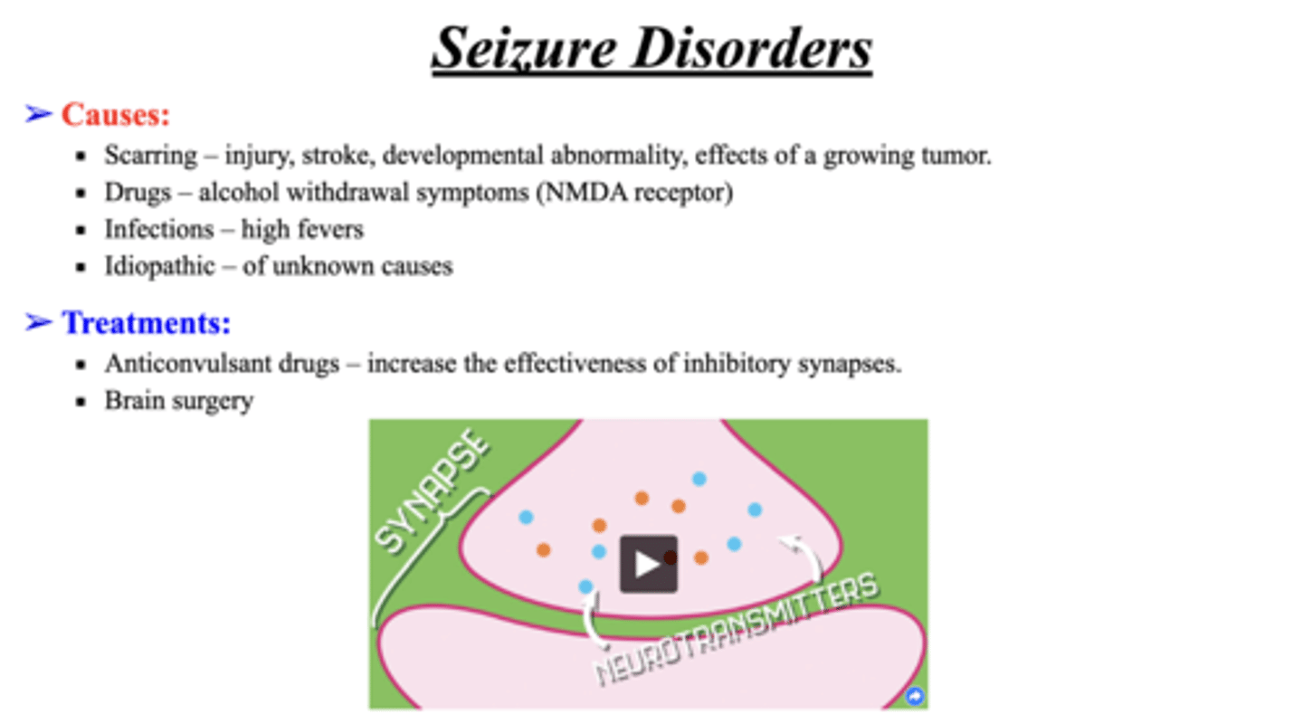<p>• Congenital disorders, metabolic abnormalities, toxins, infections, and inflammatory conditions</p><p>• Hypoglycemia, hyponatremia, hypernatremia•</p>