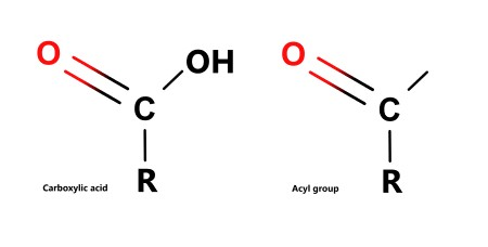 <p>A carbon double bonded to oxygen and bonded to a hydrogen with one bond left unbonded which can have a specific group attached to it e.g. chlorine.</p>