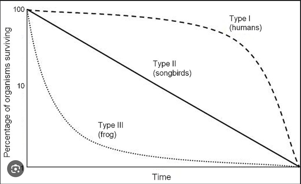 <p>a relatively constant decline in survivorship throughout the life of the species. Examples include: independent birds (although your book just says “birds”), and many perennial plants.</p>
