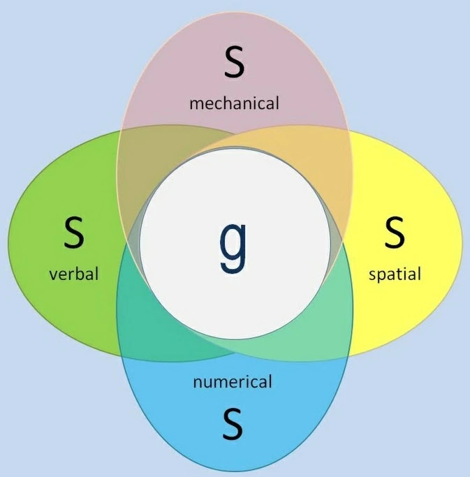 <p>a type of psychometric theory</p><p>= Spearman thought that if you’re good in 1 type of intelligence, then you’re probably good in other, related types of intelligence</p><p></p><p>divided intelligence into 2 categories:</p><ol><li><p>general = average intelligence (IQ)</p></li><li><p>specific = a specific skill</p></li></ol>