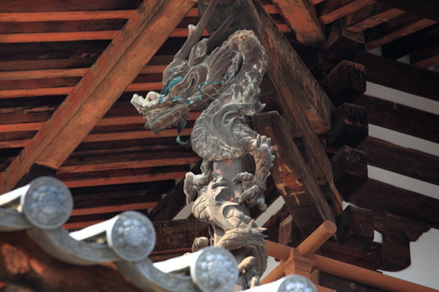 <p>Dragon</p>