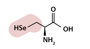 <p>what aa is this</p>