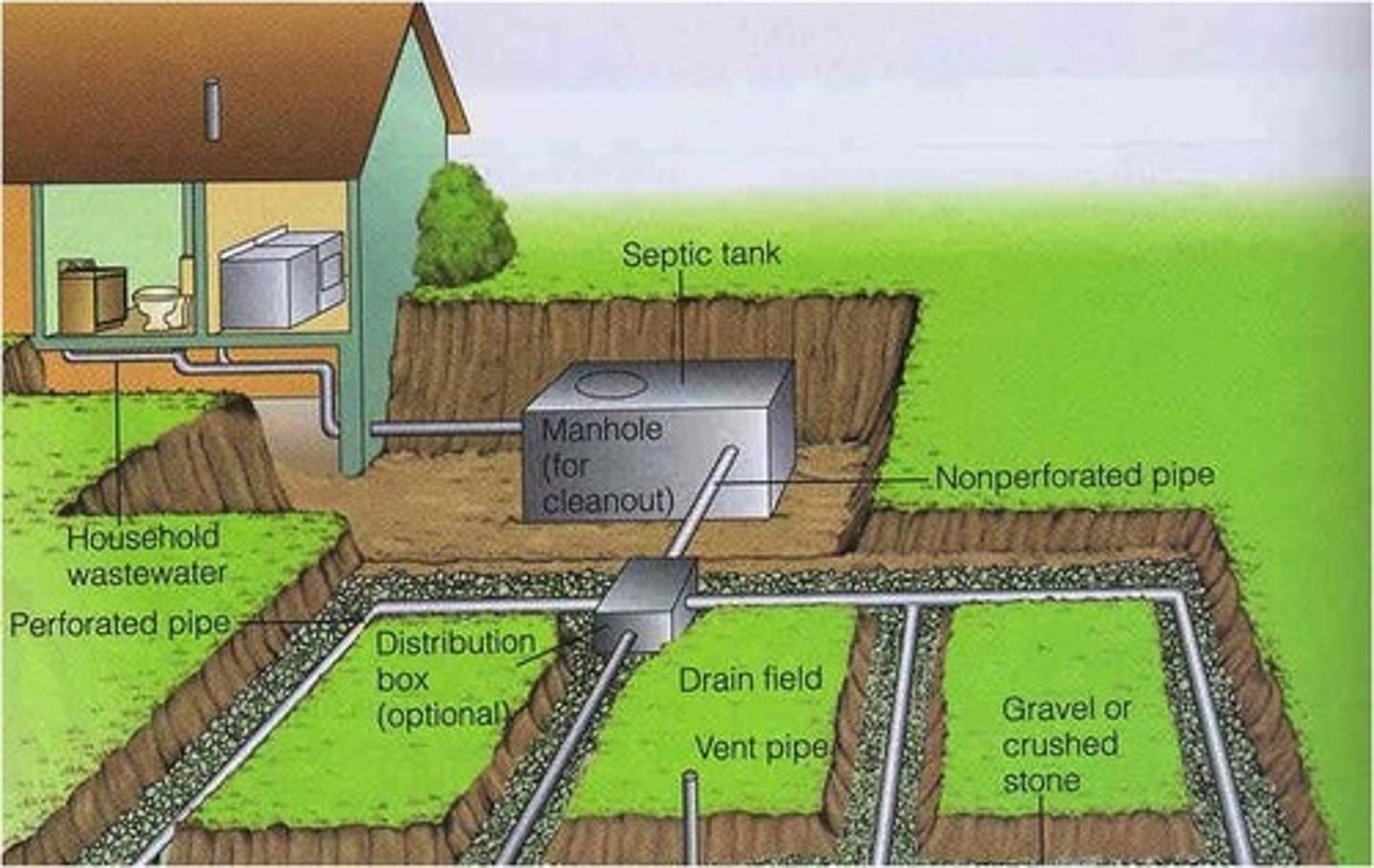 <p>... changes in the amount of water reaching river courses, and the speed at which it gets there<br>= lowers the water table in the soil<br><br>Negatives:<br>- Discharge of rivers becomes more flashy, peak discharge increases and flooding is more likely<br>- Topsoil can dry out in periods of low rainfall, nitrates from fertilisers are easily carried in sub-surface drains, and the contaminate water sources and can cause eutrophication<br>- Increased cost of flooding and damage<br>- Loss of oxygen in ponds and deaths of pond organisms<br><br>Positives:<br>- Water is removed from the soil quickly so that soil is not waterlogged<br>- Air is able to get into the soil and soil changes from anaerobic to aerobic conditions with air spaces that allow plants to access oxygen<br>- Free-draining water in soil brings in nutrients previously vulnerable<br>- Makes previous wet land available for agriculture<br>- Crops yields can increase, and animals have more areas to graze</p>