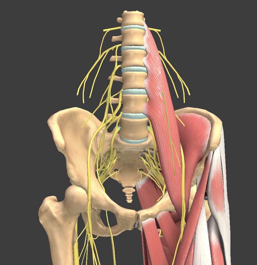 <p>What structure is shown?</p>