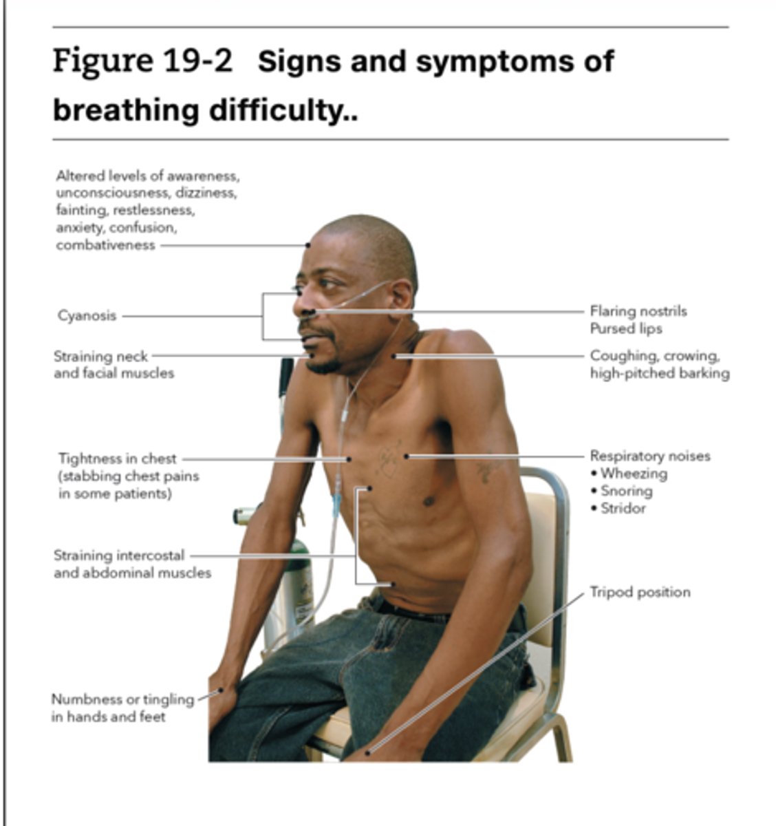 <p>altered mental status, anxious or restless, resp rate to fast or slow, irregular breathing, skin is pale cool or clammy, cyanosis, wheezing, coughing, decreased or noisy breath sounds , unequal chest rise,</p>