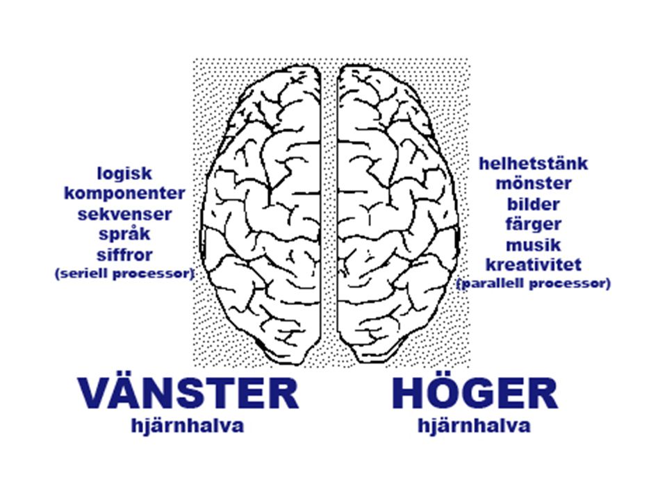 <p>Storhjärnans hemisfärer</p>