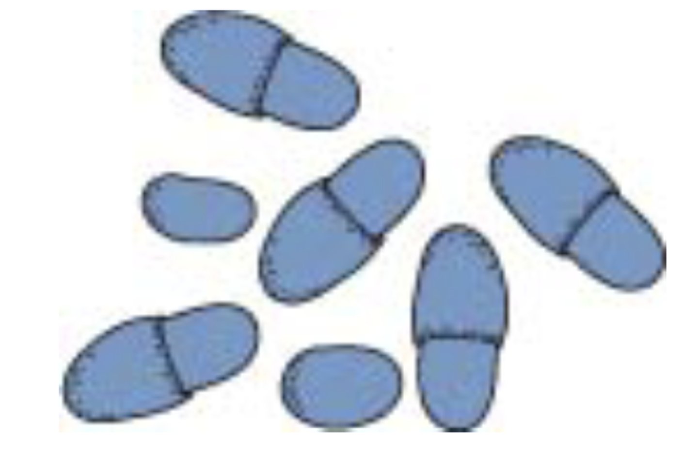 <p>which species?</p>