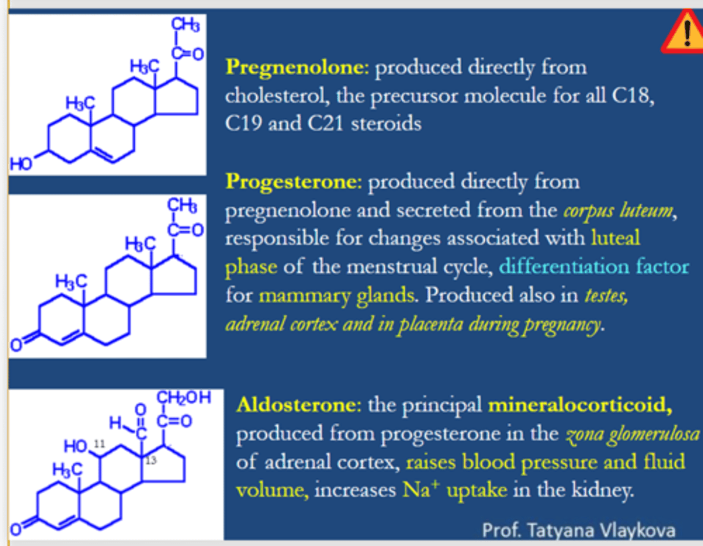 <p>aldosterone <span class="bgY">raises blood pressure and fluid volume.</span></p><p>aldosterone <span class="bgY">increases Na+ uptake in the kidney.</span></p>