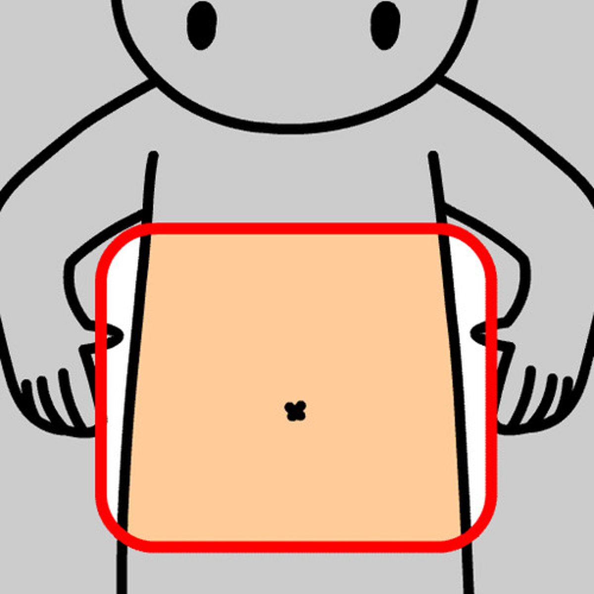 <p>stomach, noun</p>
