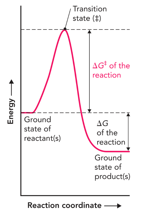 <p><strong>Q:</strong> What does Figure 7.6 describe?</p>